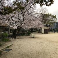 弁天公園 - 投稿画像2