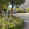 原町公園 - トップ画像