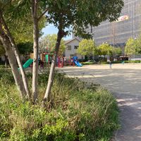 原町公園 - 投稿画像0