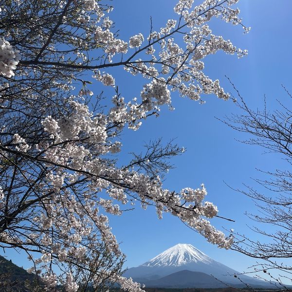 精進湖 - トップ画像