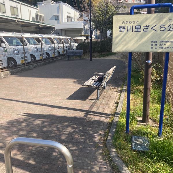 野川里ざくら公園 - おすすめ画像