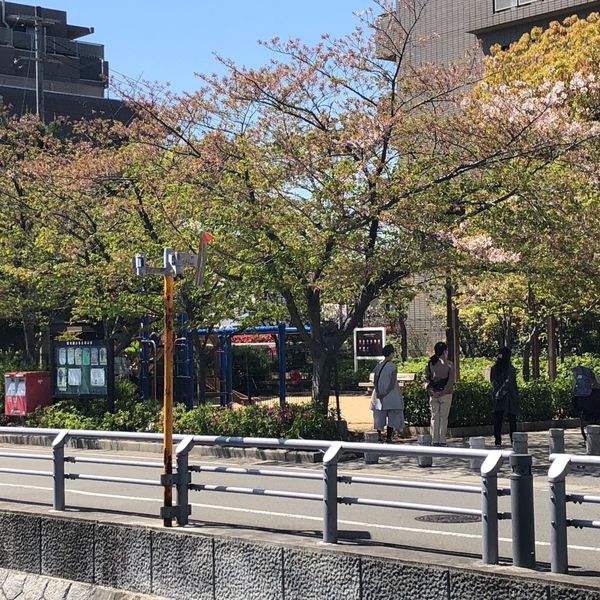 丸橋東公園 - おすすめ画像