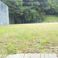 天理ダム風致公園 - 投稿画像1