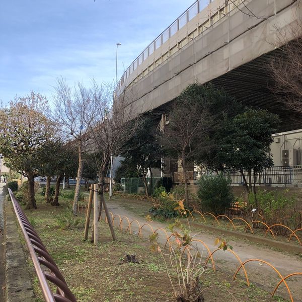 竪川親水公園 - トップ画像