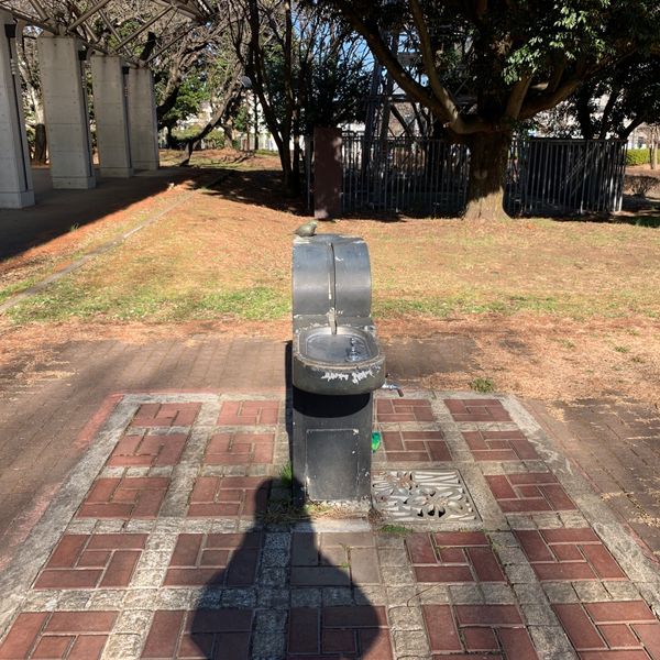 和光樹林公園 屋根付き広場 - トップ画像