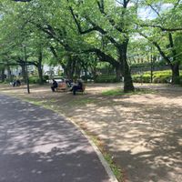 花畑公園 - 投稿画像1