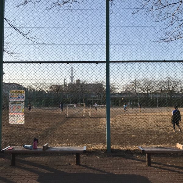 亀戸中央公園 多目的広場 - トップ画像
