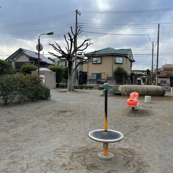 砧大根公園 - おすすめ画像