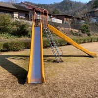 大宮公園 - 投稿画像2