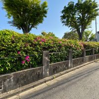 新日吉台公園 - 投稿画像3