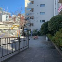 新金橋児童公園 - 投稿画像0