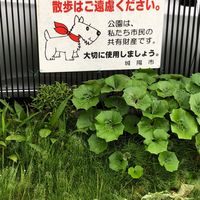 宮ノ谷第9幼児公園 - 投稿画像3