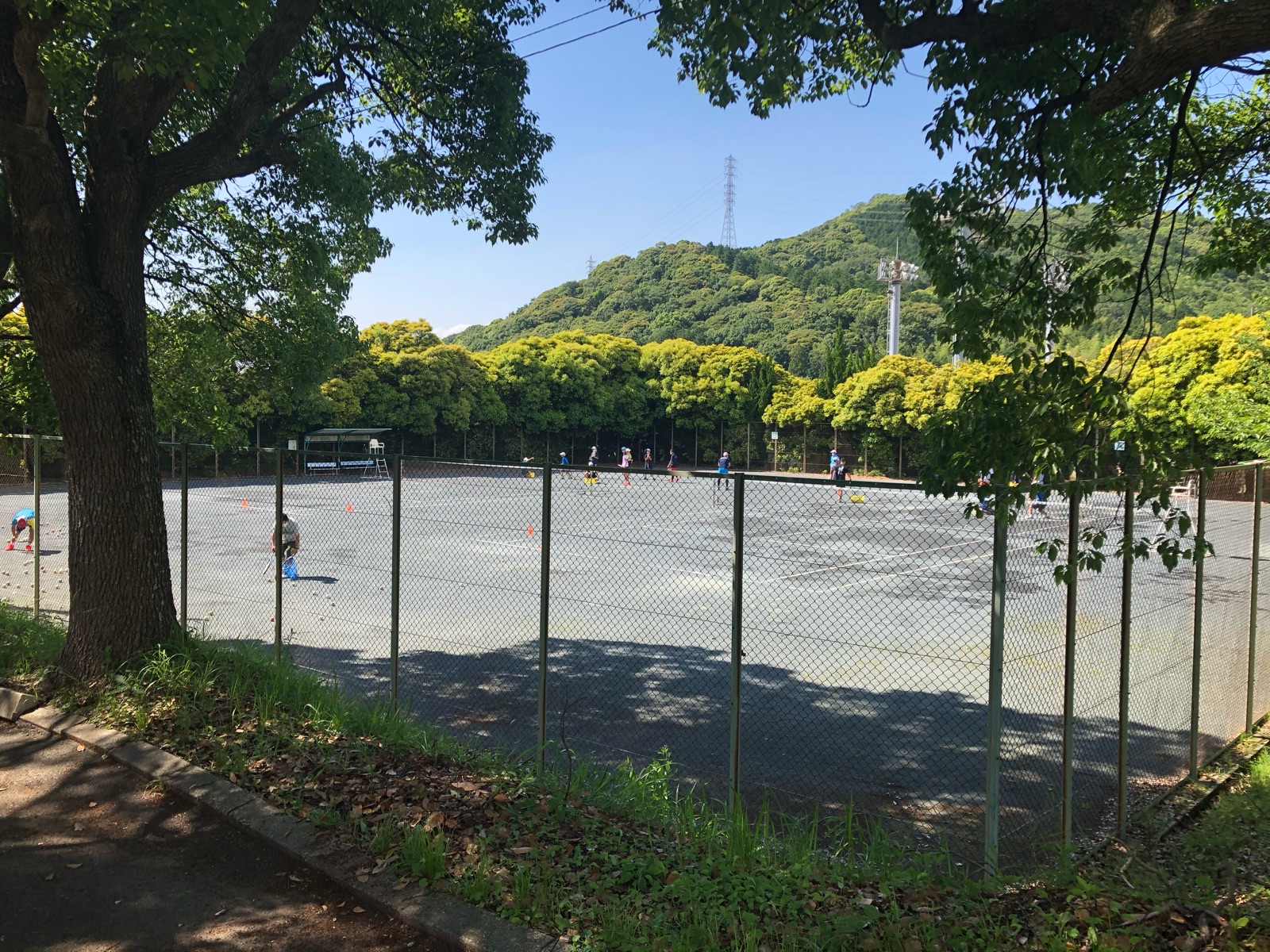 公の場での発言・インタビュー報道記録