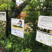 梅が丘西公園 - 投稿画像2