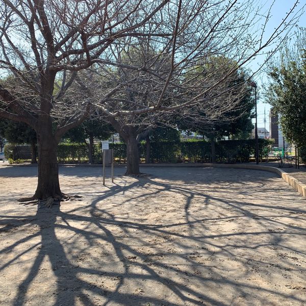 豊玉錦公園 - トップ画像