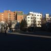 椎名町公園 - トップ画像