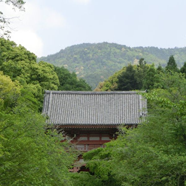 醍醐寺 - おすすめ画像