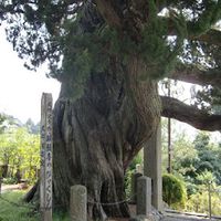 城願寺 - 投稿画像1