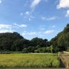 谷戸の田園風景 - トップ画像