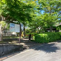 けやき公園 - 投稿画像0