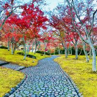 Hakone Bijutsukan (Museum Seni Hakone) - 投稿画像0