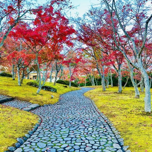 Hakone Bijutsukan (Museum Seni Hakone) - おすすめ画像