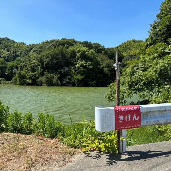 めぐり公園グラウンド前　池 - おすすめ画像