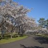 七ヶ宿ダム自然休養公園 - トップ画像