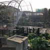 瀬田農業公園 フラワーランド - トップ画像