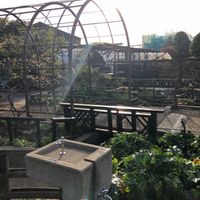 瀬田農業公園 フラワーランド - 投稿画像0