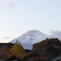 Forrest village 裾野 - 投稿画像2