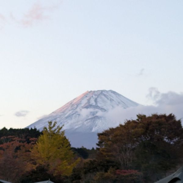 Forrest village 裾野 - おすすめ画像