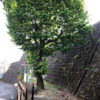 大牧公園 - 投稿画像3