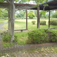 稗田都市緑地(条里の森） - 投稿画像3
