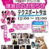 ◆11/24（日）今治市保護猫団体“おもち猫”　譲渡会◆ - トップ画像