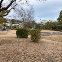 丸山第3号街区公園 - 投稿画像0