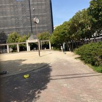 原町公園 - 投稿画像1