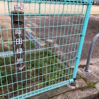 蔭田緑地 - 投稿画像0