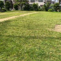 高井第1児童公園 - 投稿画像2