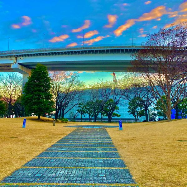 公開空地（ヨコソーレインボータワー） - おすすめ画像