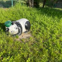 河原町公園 - 投稿画像1