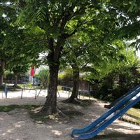 花山公園 - 投稿画像2