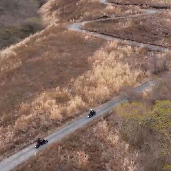 稲取細野高原（大蛇の道） - トップ画像