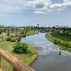 水郷佐原あやめパーク（水郷佐原水生植物園） - トップ画像