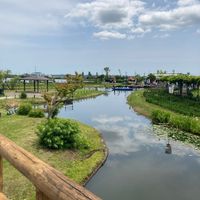 水郷佐原あやめパーク（水郷佐原水生植物園） - 投稿画像0