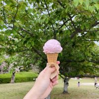 【SHOP STOP】福岡市西区（姪浜電気ビル） - 投稿画像0