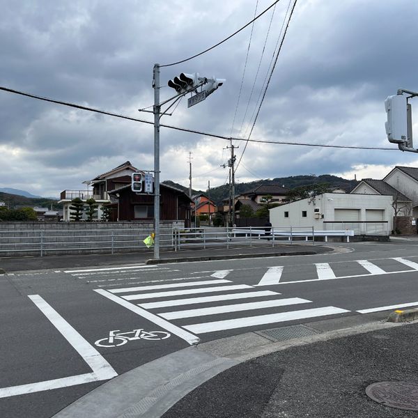 髙橋新田中・下⑩【信号】 - おすすめ画像