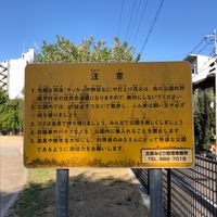 壬生檜 - 投稿画像1