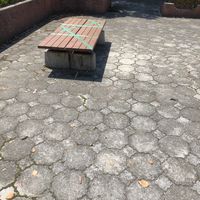 野辺公園 - 投稿画像2