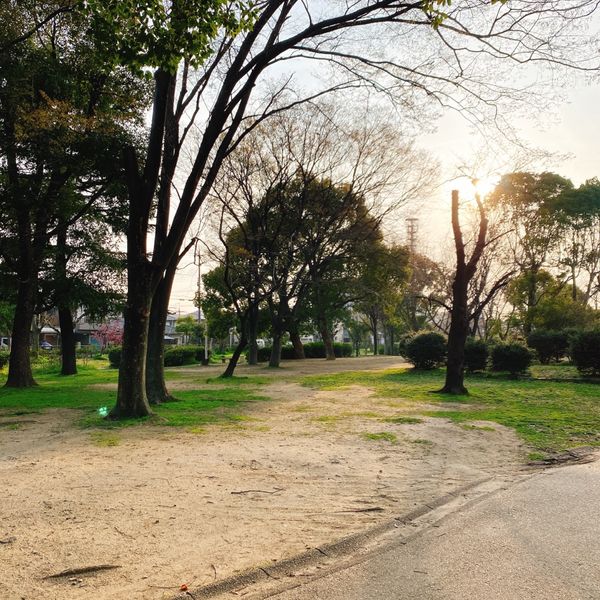 八戸の里公園 - トップ画像